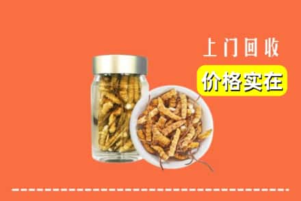 收购资讯:陕州区回收散虫草
