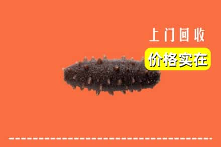 收购资讯:陕州区回收海参